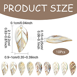 10 шт. подвески из натуральной пресноводной ракушки&nbsp;SHEL-YW0001-10