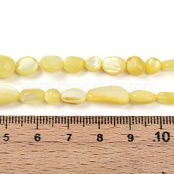 Нити бусин из натуральной белой ракушки SHEL-N036-21H