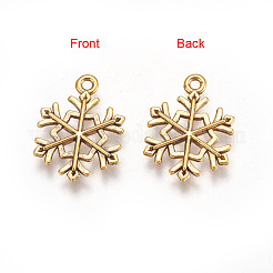 Pendentifs en alliage de style tibétain&nbsp;TIBEP-GC114-AG-NR