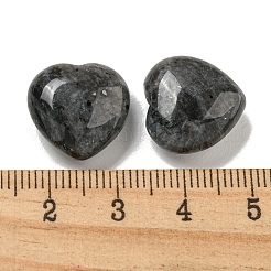Perle di larvikite naturale&nbsp;G-P531-A12-01