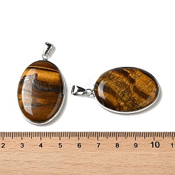 Природных тигровый глаз подвески&nbsp;G-M415-01P-05