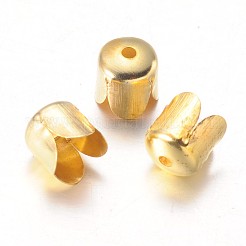 Железный шарик крышки E015Y-G-1