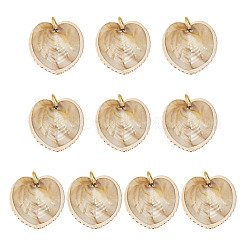 10 шт. Подвески из натуральных ракушек&nbsp;PALLOY-TAC0204