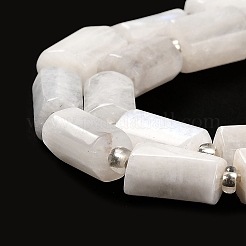 Бусины из натурального радужного лунного камня G-N327-06-38