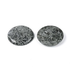 ナチュラルマップストーンペンダント  フラットラウンドのチャーム  41.5~42x7mm  穴：1.8~2mm&nbsp;G-N361-04D