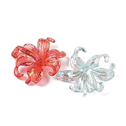 Прозрачные акриловые бусины&nbsp;X-MACR-K358-06A