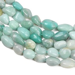 Natur amazonite Nuggets Perlen Stränge&nbsp;G-J335-31A