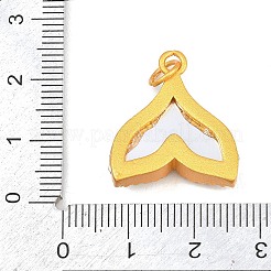 Pendentifs en alliage&nbsp;ALRI-D304-02G-01B