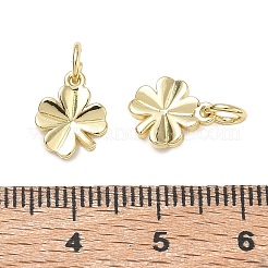 Charms in ottone&nbsp;KK-CBA9234-03G