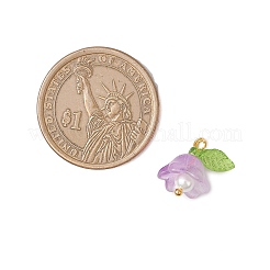 Стеклянные подвески&nbsp;PALLOY-MZ00838-05