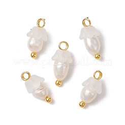 12 шт. цветочные акриловые подвески&nbsp;PALLOY-JF03588