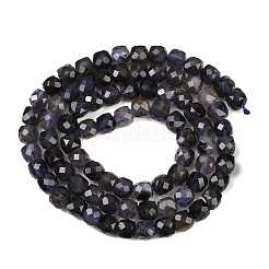 Природные иолит нитей бисера G-RM2025-C33-C