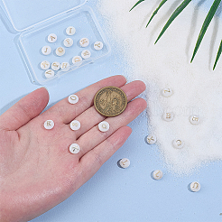 Бусины из натуральных пресноводных ракушек&nbsp;SHEL-PH0001-70C