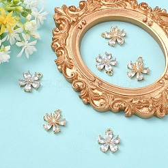 6шт 2 стиля прозрачные стеклянные подвески&nbsp;GLAA-YW0005-29