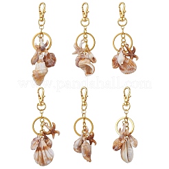 6 шт. 6 стиля брелоков из натуральной ракушки&nbsp;KEYC-JKC01101