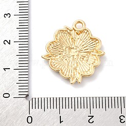 Подвески из сплава с эмалью ко дню святого патрика&nbsp;FIND-M060-24D-G