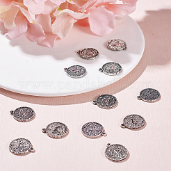 合金のチベット風チャーム  星座/星座とフラットラウンド  アンティークシルバー  アンティークシルバー  19x16x2mm  穴：1.5mm  24個/セット&nbsp;TIBEP-SC0001-13AS