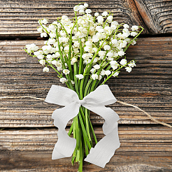 5 ярд хлопчатобумажной органзовой ленты&nbsp;SRIB-LP0001-04C