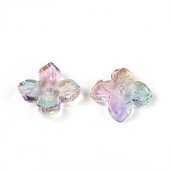 Расписные прозрачные стеклянные шапочки для запекания DGLA-N014-04E