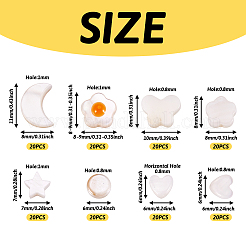 160шт 8 стиля натуральные пресноводные бусины из ракушек SHEL-TA0001-08