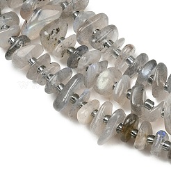 天然石ラブラドライトビーズ連売り  ナゲット  7.5~13x6~13x2~5mm  穴：0.9mm  約68~86個/連  15.35~15.75''（39~40センチメートル）&nbsp;GG-CBA3A44-B07-01