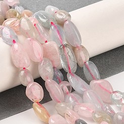 Природные морганит нитей бисера G-Q1004-01A