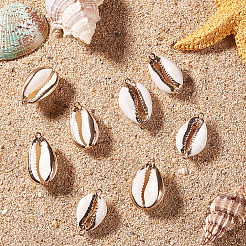 Гальванические связи корпуса каури&nbsp;SSHEL-SC0001-01G