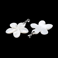 Природные подвески оболочки пресноводных BSHE-Z003-31P