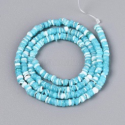 Chapelets de perles de coquille de trochid / trochus coquille&nbsp;SSHEL-N040-21B