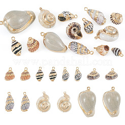 14 pz 7 stili pendenti in conchiglia mista naturale elettroplaccata&nbsp;BSHE-TA0001-34A