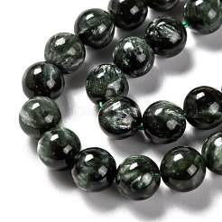 Perline seraphinite naturale fili&nbsp;G-E557-22D