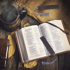 Закладки черного дерева 2шт 2 стиля AJEW-PH0001-76-WH