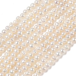 Brins de perles de culture d'eau douce naturelles&nbsp;PA-CBAC463-23
