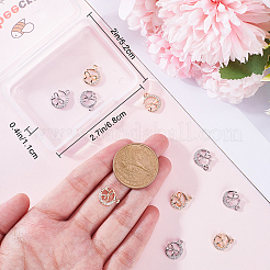 12шт 2 цвета латунные микро проложить кубический цирконий шармы KK-BBC0014-88