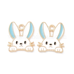 Подвески из эмали и сплава PALLOY-D015-08D