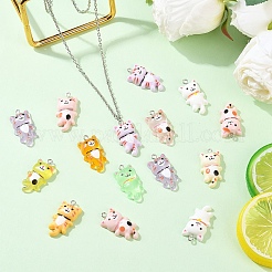 20pcs 2 styles de pendentifs en résine opaque&nbsp;RESI-YW0005-29