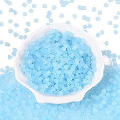 Perles de rocaille en verre transparent dépoli fgb&nbsp;SEED-N013-03A-11
