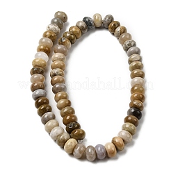 Природные окаменелые коралловые бусы пряди&nbsp;G-A280-A08-03