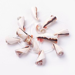 Нити бусин из натуральных пресноводных ракушек X-BSHE-L036-21