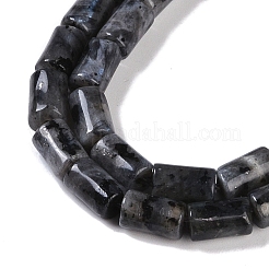 Натуральные нити бус из ларвикита G-C128-A03-01