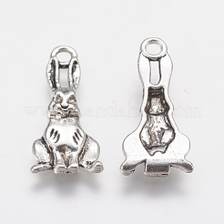 Tibetischer stil Aluminium Anhänger & Charms&nbsp;PALLOY-A15373-AS-NF