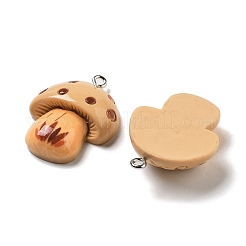 Подвески из смолы&nbsp;RESI-Z031-01A