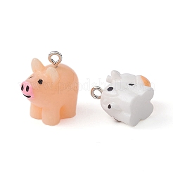 10шт 5 стиля непрозрачные подвески из смолы&nbsp;RESI-YW0001-43