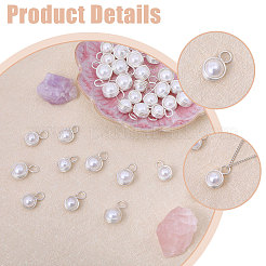 40 шт. 2 подвески из ракушки и жемчуга PALLOY-CA00028