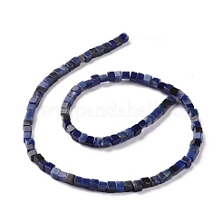 Perline sodalite naturale fili&nbsp;G-F631-K17
