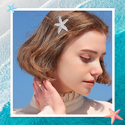 4 шт. 2-х цветные заколки для волос из цинкового сплава&nbsp;PHAR-SP0001-24