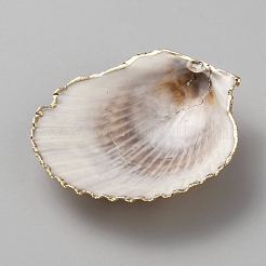 Pendenti in conchiglia naturale elettrolitica&nbsp;FIND-WH20019-54D