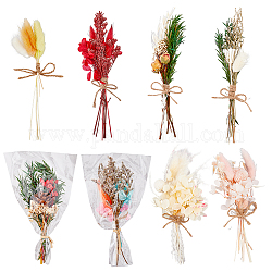 Hobbiesay 8 Mini-Trockenblumenstrauß im 8-Stil, für Zuhause, Hochzeitsdekoration, getrocknete Blumen, Weihnachtsgeschenk, Mischfarbe, 180~230x30~66 mm, 1pc / style