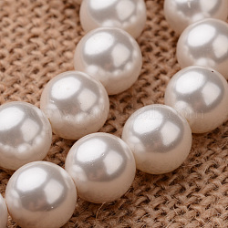 Polished Round Grade A Shell Pearl Bead Strands, Seashell Color, 10mm, Hole: 1mm, about 37~39pcs/strand, 15.7 inch