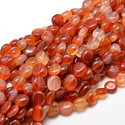 Dyed Natural Carnelian Nuggets Beads Strands, Tumbled Stone, 4~8x6~9x5~7mm, Hole: 1mm, about 15.3 inch~15.7 inch